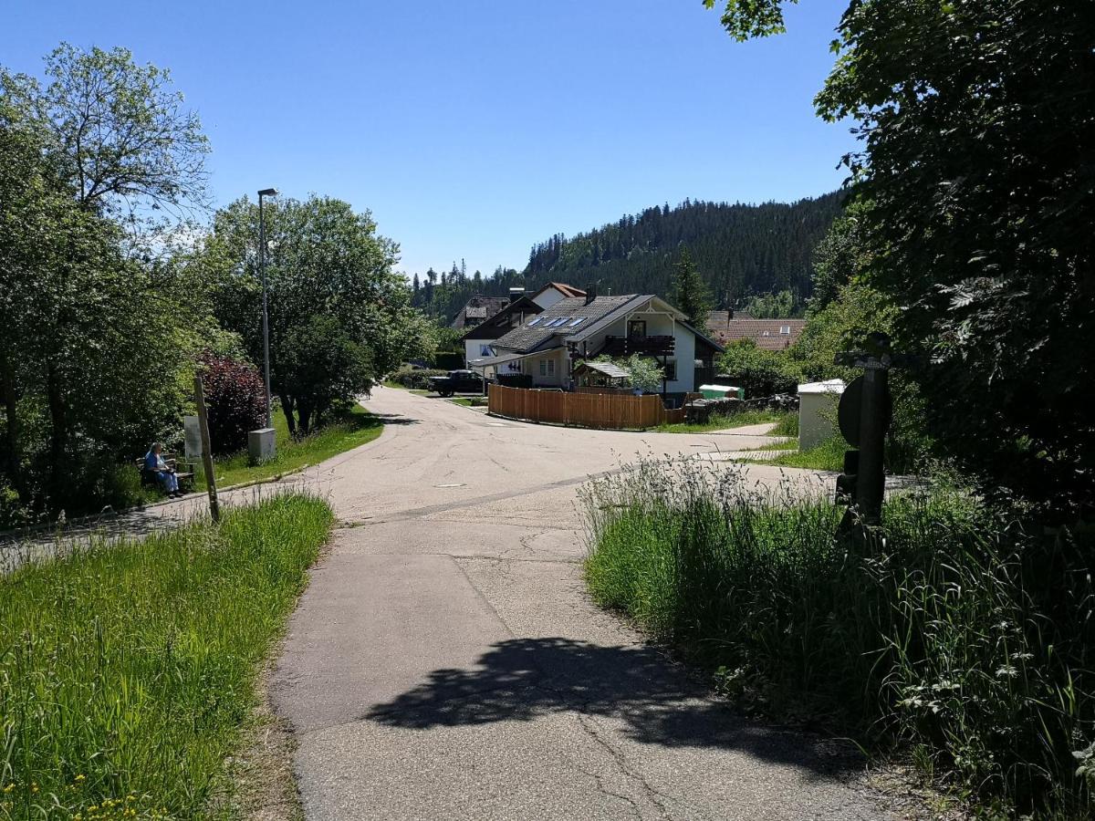 Ferienwohnung Haus Maria Schwarzwald St. Blasien Exterior foto